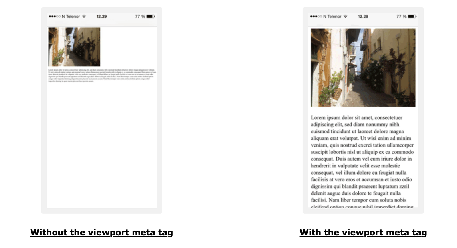Meta viewport tag example