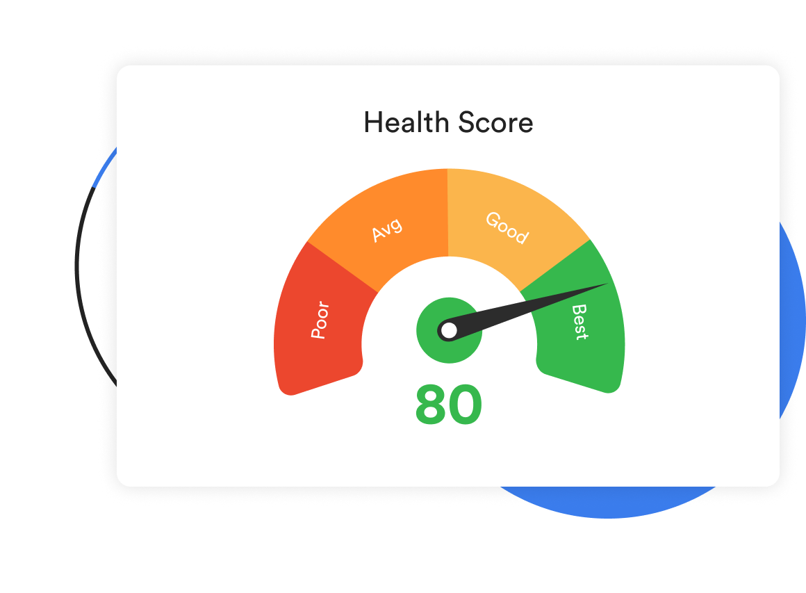 webpage audit test - health score